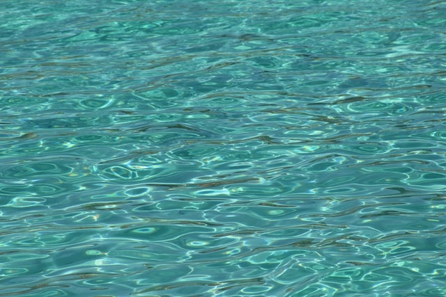 Water and life in Queens
